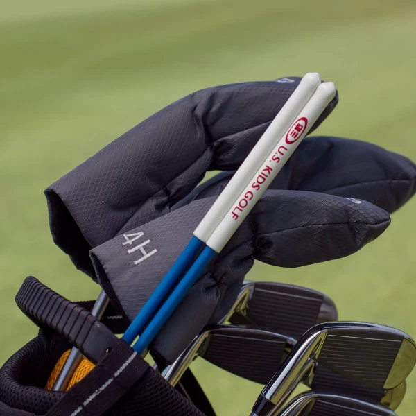 Alignment Sticks 4 Alignment Sticks - Image 4